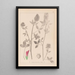 Herbier de la flore française Pl0347 - Louis Antoine Cusin — framed artwork on a wall