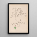 Herbier de la flore française Pl0349 - Louis Antoine Cusin — framed artwork on a wall