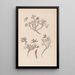 Herbier de la flore française Pl0355 - Louis Antoine Cusin — framed artwork on a wall