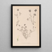 Herbier de la flore française Pl0357 - Louis Antoine Cusin — framed artwork on a wall