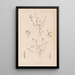 Herbier de la flore française Pl0364 - Louis Antoine Cusin — framed artwork on a wall