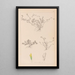 Herbier de la flore française Pl0365 - Louis Antoine Cusin — framed artwork on a wall