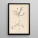 Herbier de la flore française Pl0399 - Louis Antoine Cusin — framed artwork on a wall