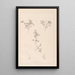 Herbier de la flore française Pl0401 - Louis Antoine Cusin — framed artwork on a wall