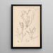 Herbier de la flore française Pl0402 - Louis Antoine Cusin — framed artwork on a wall