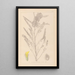Herbier de la flore française Pl0407 - Louis Antoine Cusin — framed artwork on a wall