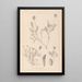 Herbier de la flore française Pl0411 - Louis Antoine Cusin — framed artwork on a wall