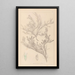 Herbier de la flore française Pl0421 - Louis Antoine Cusin — framed artwork on a wall