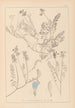 Herbier de la flore française Pl0431 - Louis Antoine Cusin — artwork view