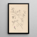 Herbier de la flore française Pl0435 - Louis Antoine Cusin — framed artwork on a wall