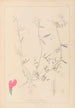Herbier de la flore française Pl0448 - Louis Antoine Cusin — artwork view