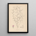 Herbier de la flore française Pl0453 - Louis Antoine Cusin — framed artwork on a wall