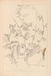 Herbier de la flore française Pl0455 - Louis Antoine Cusin — artwork view