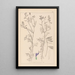 Herbier de la flore française Pl0464 - Louis Antoine Cusin — framed artwork on a wall
