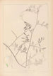 Herbier de la flore française Pl0466 - Louis Antoine Cusin — artwork view