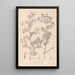 Herbier de la flore française Pl0470 - Louis Antoine Cusin — framed artwork on a wall