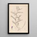 Herbier de la flore française Pl0471 - Louis Antoine Cusin — framed artwork on a wall