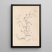 Herbier de la flore française Pl0479 - Louis Antoine Cusin — framed artwork on a wall