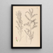 Herbier de la flore française Pl0487 - Louis Antoine Cusin — framed artwork on a wall