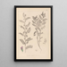 Herbier de la flore française Pl0490 - Louis Antoine Cusin — framed artwork on a wall