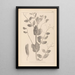 Herbier de la flore française Pl0492 - Louis Antoine Cusin — framed artwork on a wall