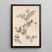 Herbier de la flore française Pl0493 - Louis Antoine Cusin — framed artwork on a wall