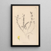 Herbier de la flore française Pl0499 - Louis Antoine Cusin — framed artwork on a wall