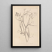 Herbier de la flore française Pl0508 - Louis Antoine Cusin — framed artwork on a wall