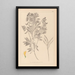 Herbier de la flore française Pl0513 - Louis Antoine Cusin — framed artwork on a wall