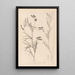 Herbier de la flore française Pl0516 - Louis Antoine Cusin — framed artwork on a wall