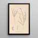 Herbier de la flore française Pl0525 - Louis Antoine Cusin — framed artwork on a wall