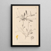 Herbier de la flore française Pl0528 - Louis Antoine Cusin — framed artwork on a wall