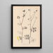 Herbier de la flore française Pl0533 - Louis Antoine Cusin — framed artwork on a wall
