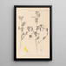 Herbier de la flore française Pl0539 - Louis Antoine Cusin — framed artwork on a wall