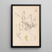 Herbier de la flore française Pl0541 - Louis Antoine Cusin — framed artwork on a wall