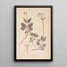Herbier de la flore française Pl0687 - Louis Antoine Cusin — framed artwork on a wall