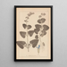Herbier de la flore française Pl0806 - Louis Antoine Cusin — framed artwork on a wall