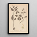 Herbier de la flore française Pl0831 - Louis Antoine Cusin — framed artwork on a wall