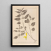 Herbier de la flore française Pl0832 - Louis Antoine Cusin — framed artwork on a wall