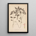 Herbier de la flore française Pl0841 - Louis Antoine Cusin — framed artwork on a wall