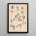 Herbier de la flore française Pl0861 - Louis Antoine Cusin — framed artwork on a wall