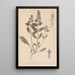 Herbier de la flore française Pl0896 - Louis Antoine Cusin — framed artwork on a wall
