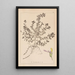 Herbier de la flore française Pl0903 - Louis Antoine Cusin — framed artwork on a wall