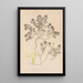 Herbier de la flore française Pl0912 - Louis Antoine Cusin — framed artwork on a wall