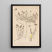 Herbier de la flore française Pl0914 - Louis Antoine Cusin — framed artwork on a wall