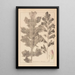 French flora herbarium painting Pl0916 - Louis Antoine Cusin — framed artwork on a wall