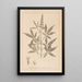 Herbier de la flore française Pl0918 - Louis Antoine Cusin — framed artwork on a wall