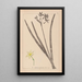 Herbier de la flore française Pl0971 - Louis Antoine Cusin — framed artwork on a wall