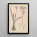 Herbier de la flore française Pl0981 - Louis Antoine Cusin — framed artwork on a wall
