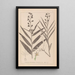 Herbier de la flore française Pl0983 - Louis Antoine Cusin — framed artwork on a wall